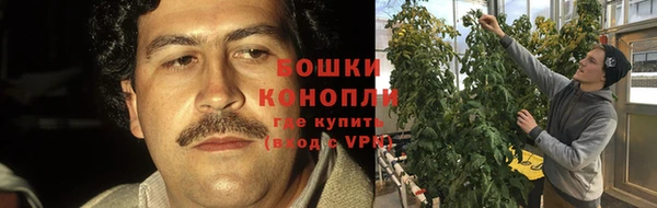 ПСИЛОЦИБИНОВЫЕ ГРИБЫ Строитель