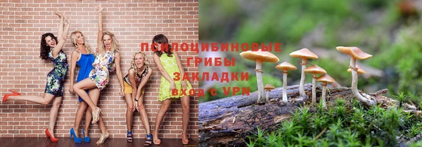 ПСИЛОЦИБИНОВЫЕ ГРИБЫ Строитель