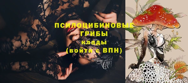 ПСИЛОЦИБИНОВЫЕ ГРИБЫ Строитель