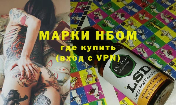 ПСИЛОЦИБИНОВЫЕ ГРИБЫ Строитель