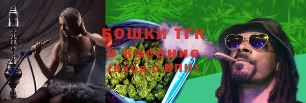 амф Струнино