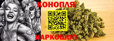 спайс Гусев
