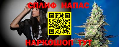 спайс Гусев