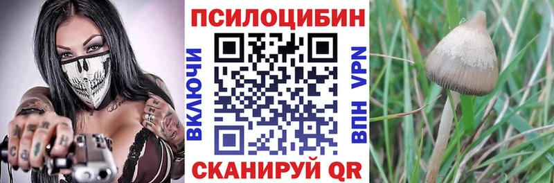 Псилоцибиновые грибы Psilocybine cubensis  где купить наркотик  Раменское 