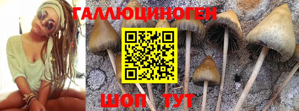 ГАШ Раменское