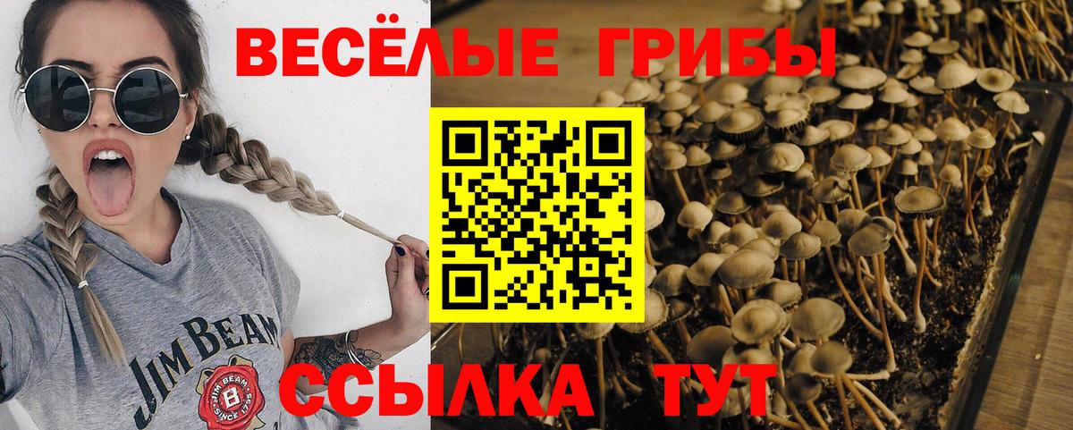 Галлюциногенные грибы GOLDEN TEACHER Раменское