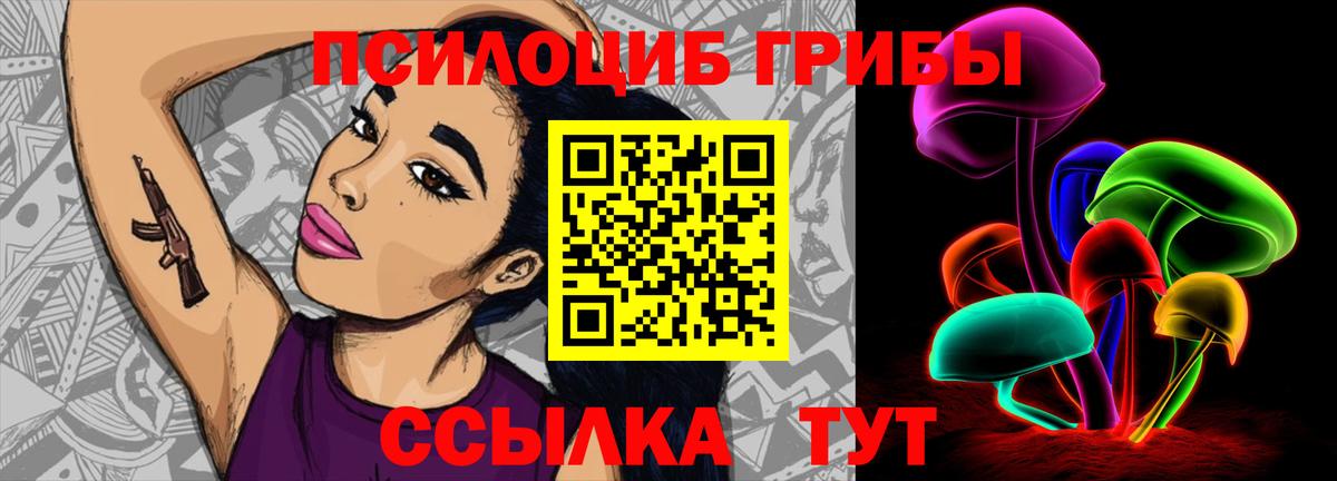 как найти   Раменское  Галлюциногенные грибы прущие грибы  Галлюциногенные грибы Psilocybe 