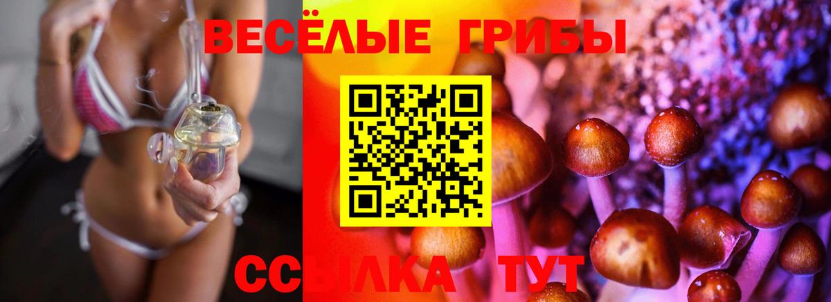 Галлюциногенные грибы мухоморы Раменское